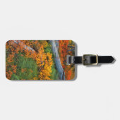 USA, Oregon, Willamette National Forest Gepäckanhänger (Vorderseite horizontal)