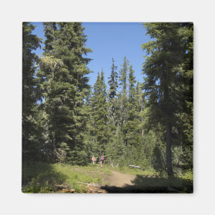 USA, Oregon, Willamette National Forest, Herbst Magnet