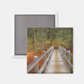 USA, Oregon, Willamette National Forest. Magnet (Vorderseite/Rückseite)