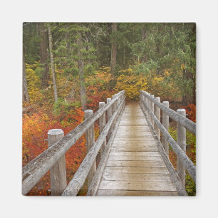 USA, Oregon, Willamette National Forest. Magnet