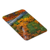USA, Oregon, Willamette National Forest Magnet (Rechte Seite)