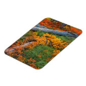 USA, Oregon, Willamette National Forest Magnet (Linke Seite)