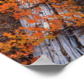 USA, Oregon, Willamette National Forest Poster (Ecke)