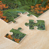 USA, Oregon, Willamette National Forest Puzzle (Seite)