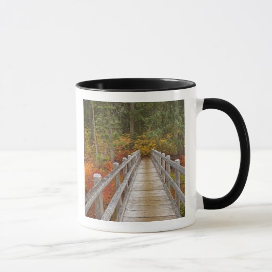 USA, Oregon, Willamette National Forest. Tasse (Rechts)