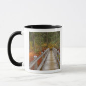 USA, Oregon, Willamette National Forest. Tasse (Links)