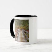 USA, Oregon, Willamette National Forest. Tasse (Vorderseite Links)
