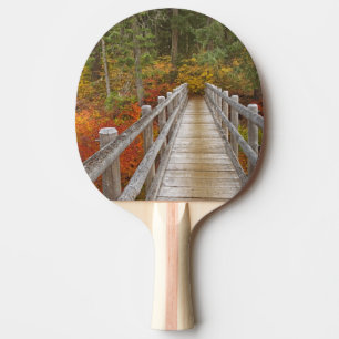 USA, Oregon, Willamette National Forest. Tischtennis Schläger