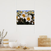 USA, Oregon, Willamette Valley. Daffodien Poster (Küche)