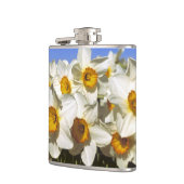 USA, Oregon, Willamette Valley. Daffodien wachsen Flachmann (Links)
