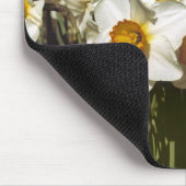 USA, Oregon, Willamette Valley. Daffodien wachsen Mousepad (Ecke)