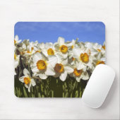 USA, Oregon, Willamette Valley. Daffodien wachsen Mousepad (Mit Mouse)