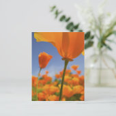 USA, Oregon, Willamette Valley, Nah UP of Postkarte (Stehend Vorderseite)
