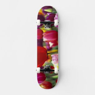 USA, Oregon, Willamette Valley. Schön Skateboard