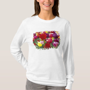 USA, Oregon, Willamette Valley. Schön T-Shirt