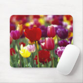 USA, Oregon, Willamette Valley.Schöne Mousepad (Mit Mouse)