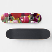 USA, Oregon, Willamette Valley.Schöne Skateboard (Horizontal)