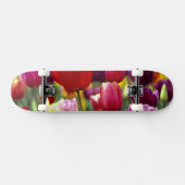 USA, Oregon, Willamette Valley.Schöne Skateboard (Horizontal)