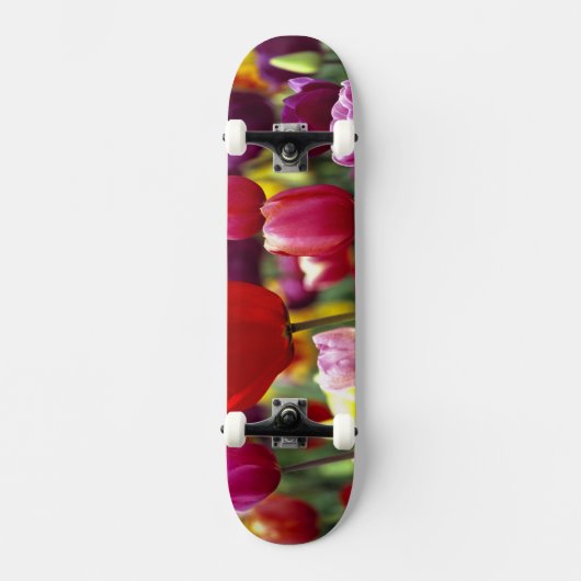 USA, Oregon, Willamette Valley.Schöne Skateboard (Vorderseite)