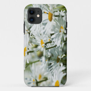 USA, Oregon, Willamette Valley, Selective iPhone 11 Hülle