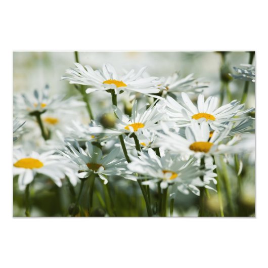 USA, Oregon, Willamette Valley, Selective Fotodruck (Vorne)