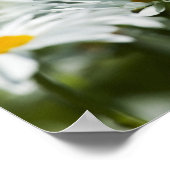 USA, Oregon, Willamette Valley, Selective Poster (Ecke)