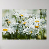 USA, Oregon, Willamette Valley, Selective Poster (Vorne)