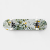 USA, Oregon, Willamette Valley, Selective Skateboard (Horizontal)