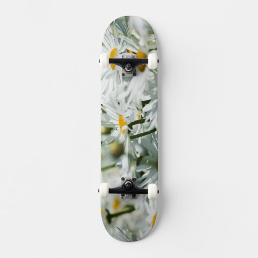 USA, Oregon, Willamette Valley, Selective Skateboard (Vorderseite)