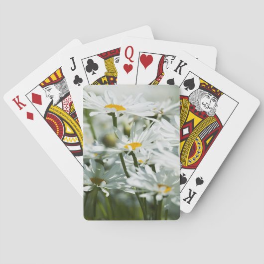 USA, Oregon, Willamette Valley, Selective Spielkarten (Rückseite)