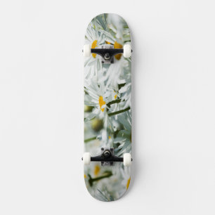 USA, Oregon, Willamette Valley, Selektiv Skateboard