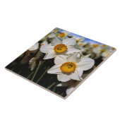 USA, Oregon, Willamette Valley.Trockenstoffe Fliese (Seite)