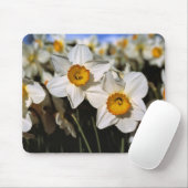USA, Oregon, Willamette Valley.Trockenstoffe Mousepad (Mit Mouse)