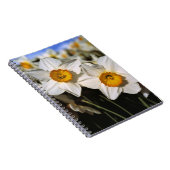 USA, Oregon, Willamette Valley.Trockenstoffe Notizblock (Rechte Seite)