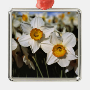 USA, Oregon, Willamette Valley.Trockenstoffe Ornament Aus Metall