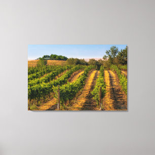 USA, Ost-Washington, Walla Walla Leinwanddruck