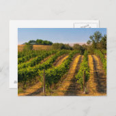 USA, Ost-Washington, Walla Walla Postkarte (Vorne/Hinten)