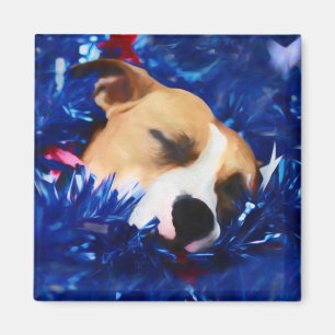 USA Patriotic Dog American Pit Bull Terrier Magnet