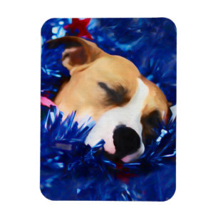 USA Patriotic Dog American Pit Bull Terrier Magnet