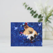 USA Patriotic Dog American Pit Bull Terrier Postkarte (Stehend Vorderseite)