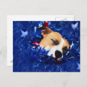 USA Patriotic Dog American Pit Bull Terrier Postkarte (Vorne/Hinten)