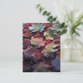 USA, Pazifik Nordwesten. Japanische AhornBlätter Postkarte (Stehend Vorderseite)