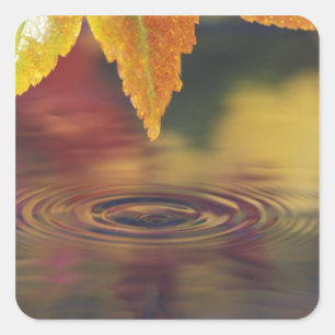 USA, Pazifik, Nordwesten Quadratischer Aufkleber