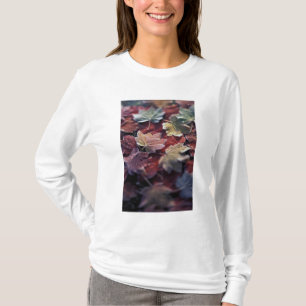 USA, Pazifischer Nordwesten. Japanische Ahornblätt T-Shirt