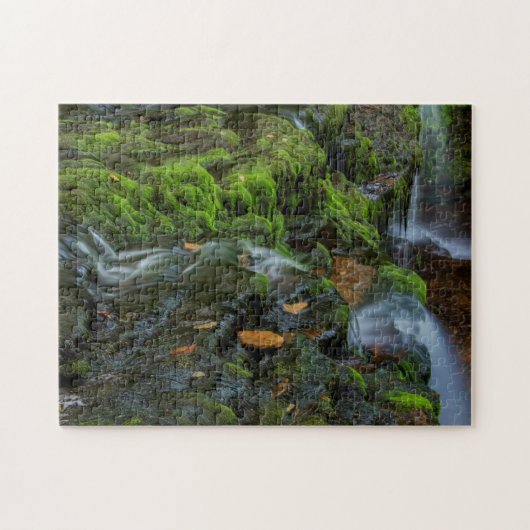 USA, Pennsylvania, Benton, Ricketts Glen Staat Puzzle (Horizontal)