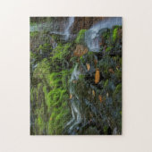 USA, Pennsylvania, Benton, Ricketts Glen Staat Puzzle (Vertikal)