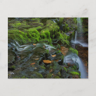 USA, Pennsylvania, Benton, Ricketts Glen State Par Postkarte