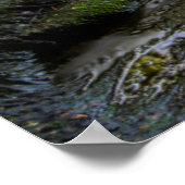 USA, Pennsylvania, Benton, Ricketts Glen State Poster (Ecke)