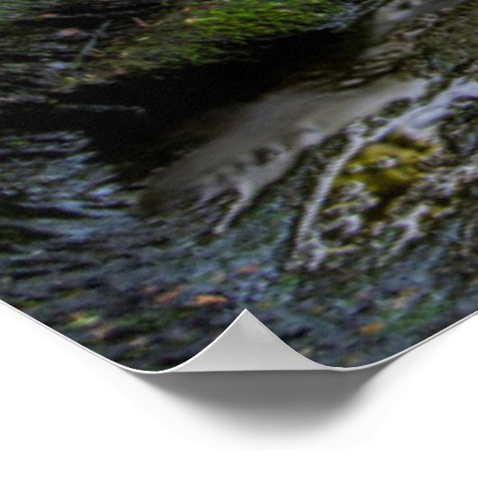 USA, Pennsylvania, Benton, Ricketts Glen State Poster (Ecke)