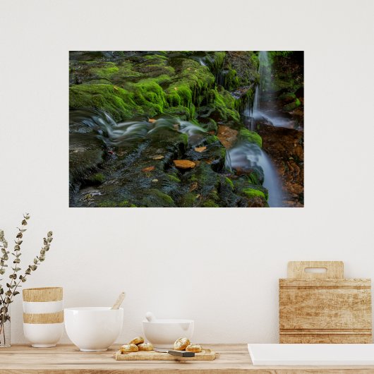 USA, Pennsylvania, Benton, Ricketts Glen State Poster (Küche)